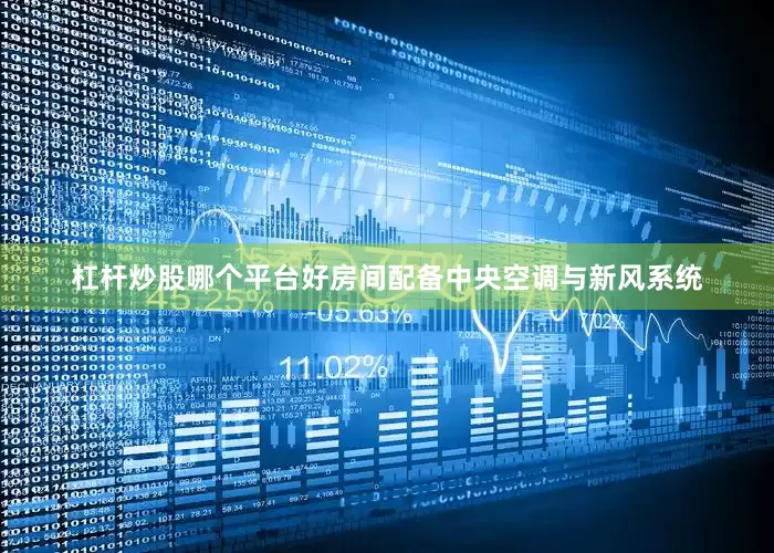 杠杆炒股哪个平台好房间配备中央空调与新风系统