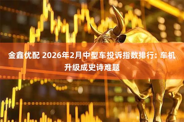 金鑫优配 2026年2月中型车投诉指数排行: 车机升级成史诗难题