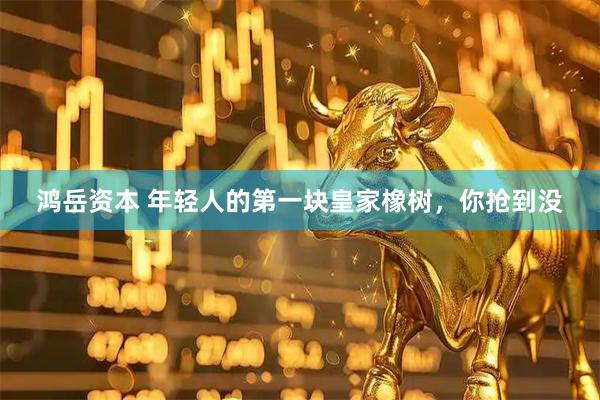 鸿岳资本 年轻人的第一块皇家橡树，你抢到没